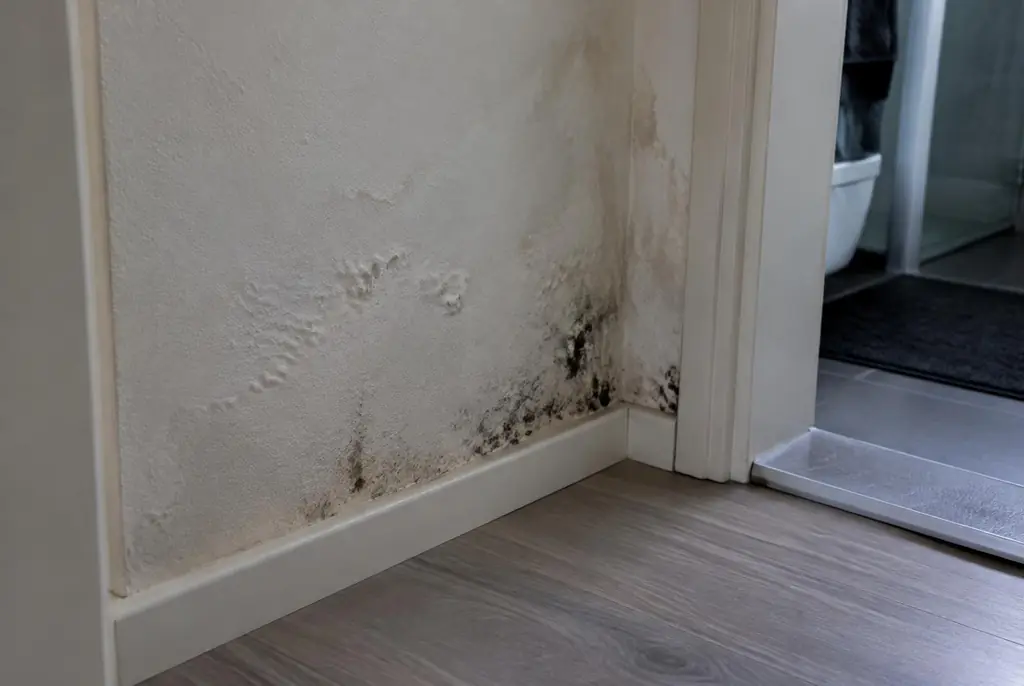 Lekdetectie Ede – vochtplek met schimmel op een muur